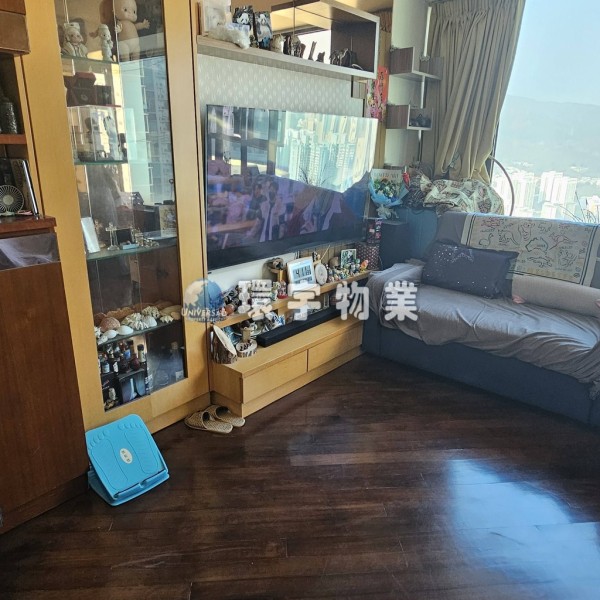 超高樓層,罕有賣盤