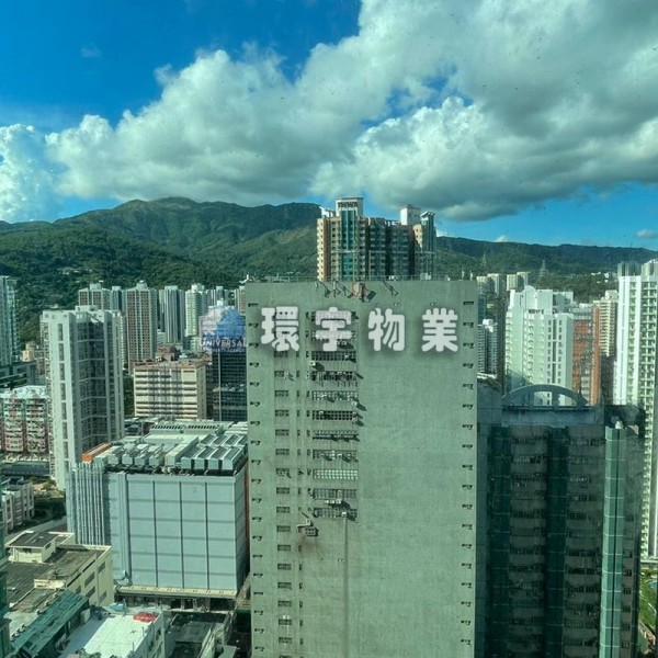 開揚景色,罕有放盤