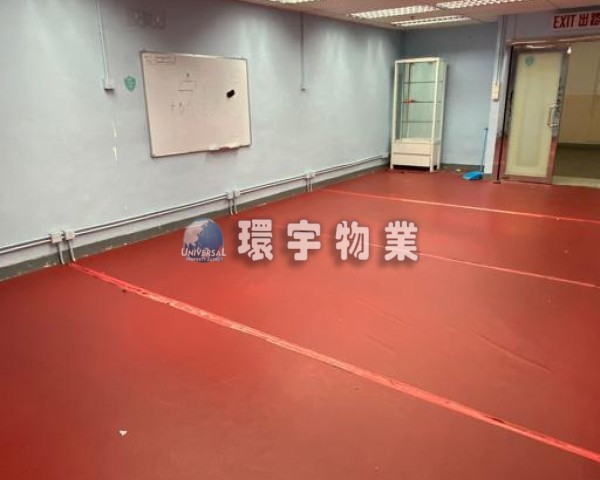 半倉半寫 投資自用首選