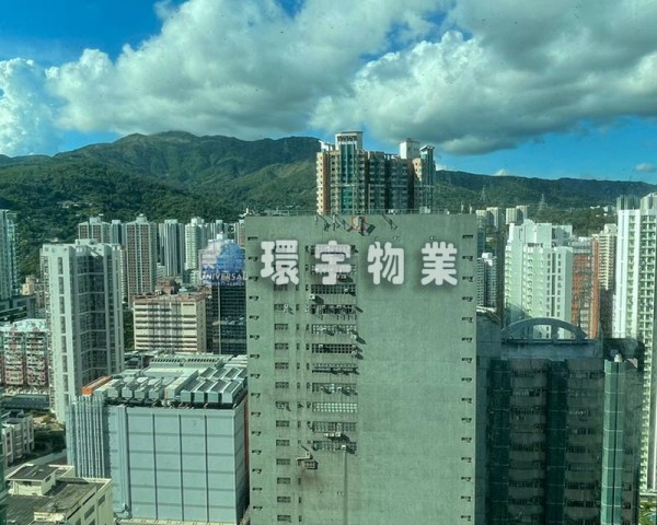 開揚景色,罕有放盤