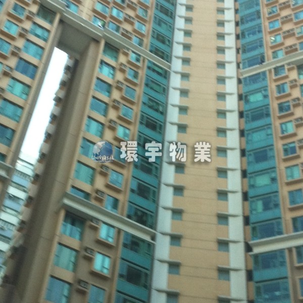 良心業主,易泊車位